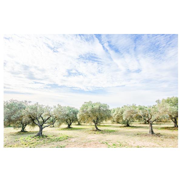 PHOTO84, CLUB, 84 , LUBERON